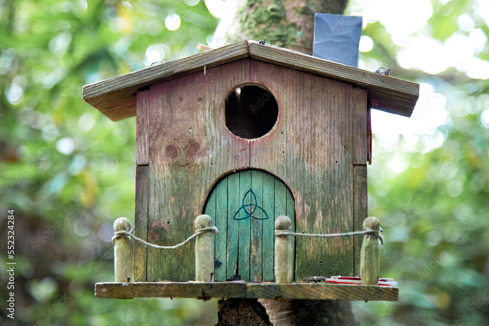 Naklejka premium Waldhäuschen mit grüner Türe