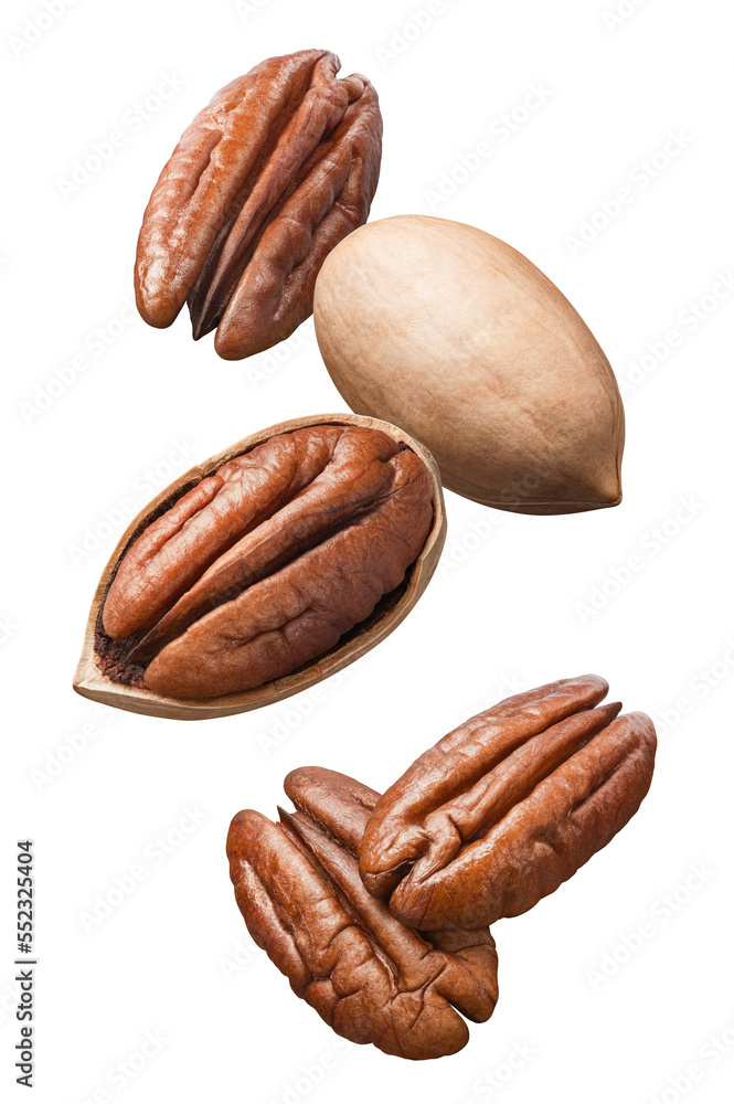 Flying pecan nuts isolated on white background. Vertical layout - obrazy, fototapety, plakaty 