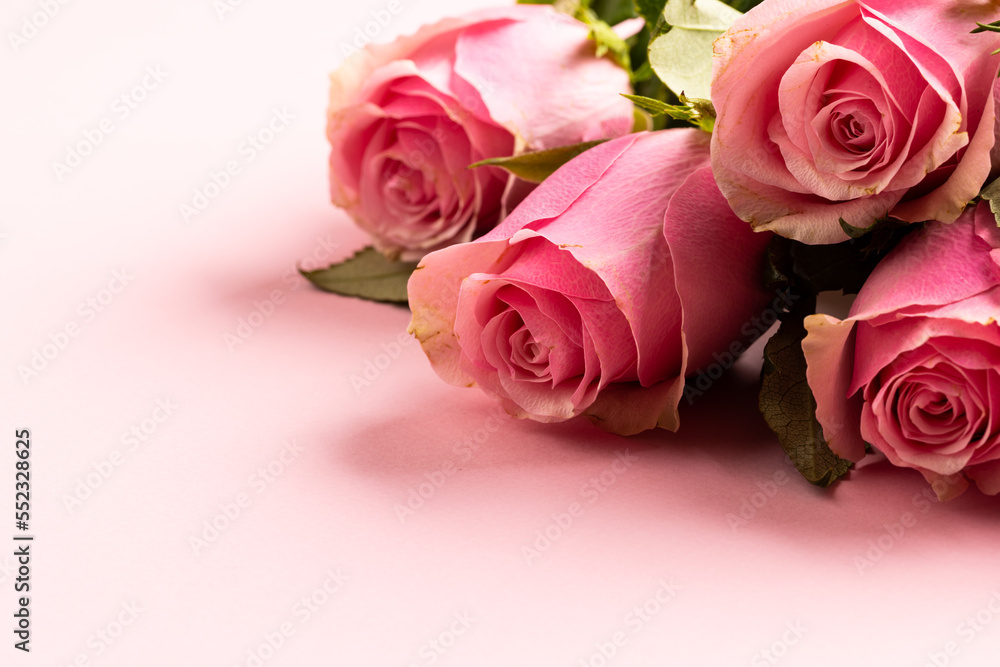 Fototapeta premium Composition of roses on white background