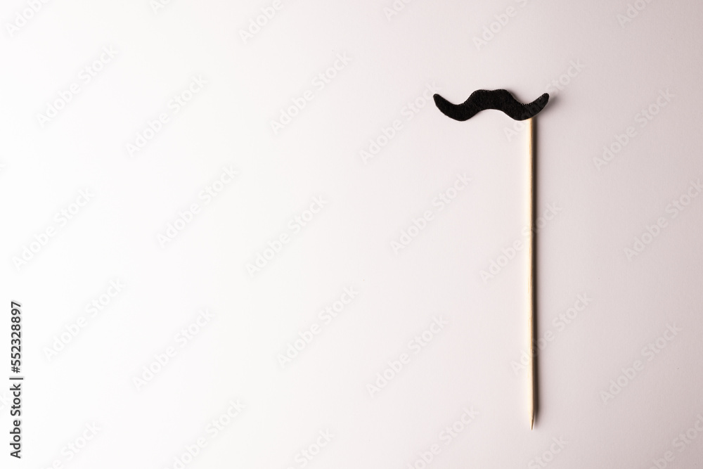 Composition of fake moustache on stick on white background with copy space Composition of fake moustache on stick on white background with copy space