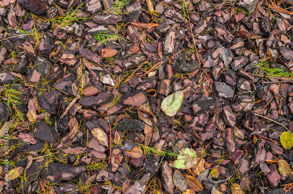 Nature ground texture with dead leaves on the grass during fall season