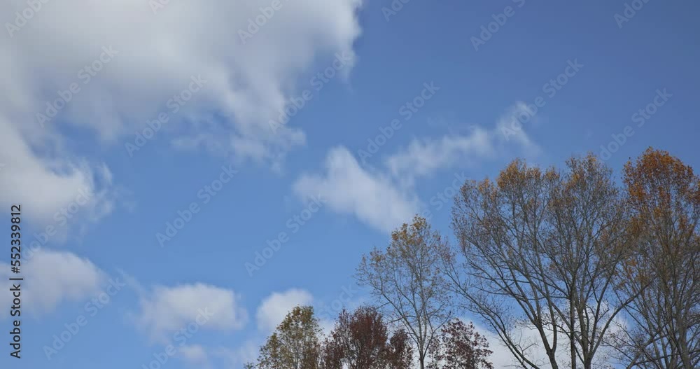This autumn forest landscape features beautiful time lapse cloudscape moving over trees