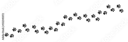 Dog tracks, trail of animal tracks. Vector illustration on white background