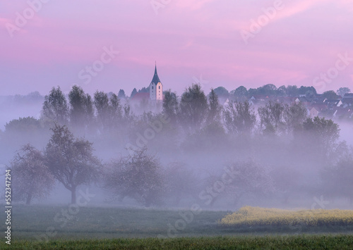 misty morning in the countryside