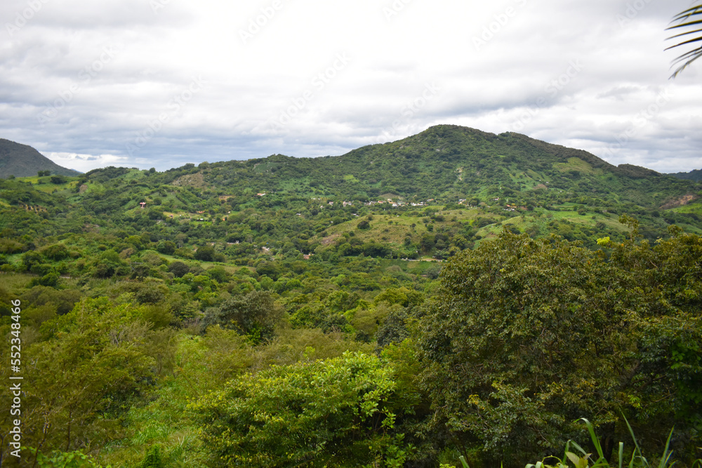 Hill and vegetation located in Guerrero state in the municipality of Carrizal