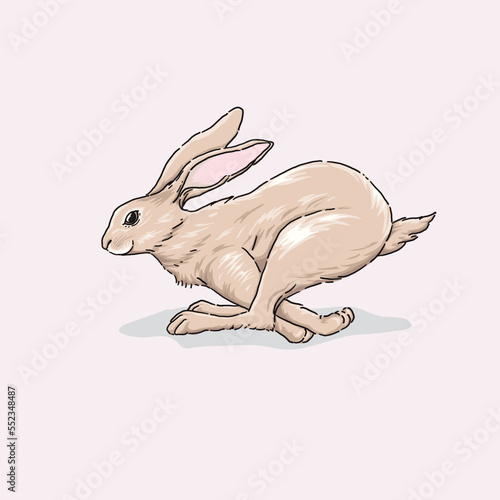 hand drawn running Cute Rabbit Illustration,