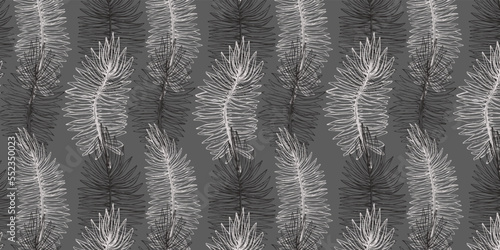 Patrón vectorizado de hojas en líneas negras y blancas sobre fondo gris oscuro. Hojas de Helechos, ilustración de línea en blanco y negro