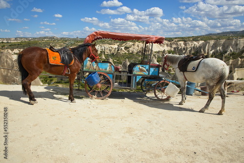 Horses in Love Valley at Uchisar in Cappadocia Nevsehir Province Turkey 