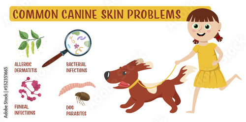 Dog skin problems. Horizontal illustration. Graphic design