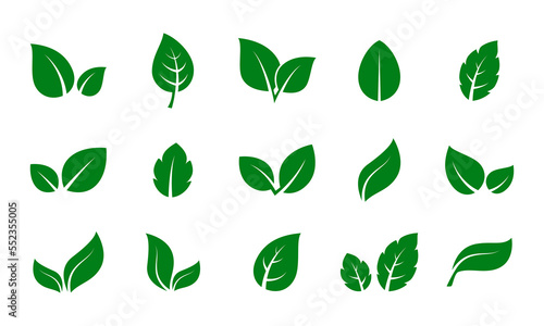 Leaf vector set green color isolated on white background. Leaf logo.