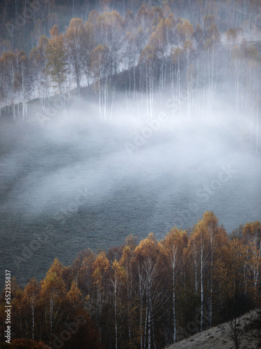 Foggy forest in the mountains at autumn. Dumesti Romania Transylvania.