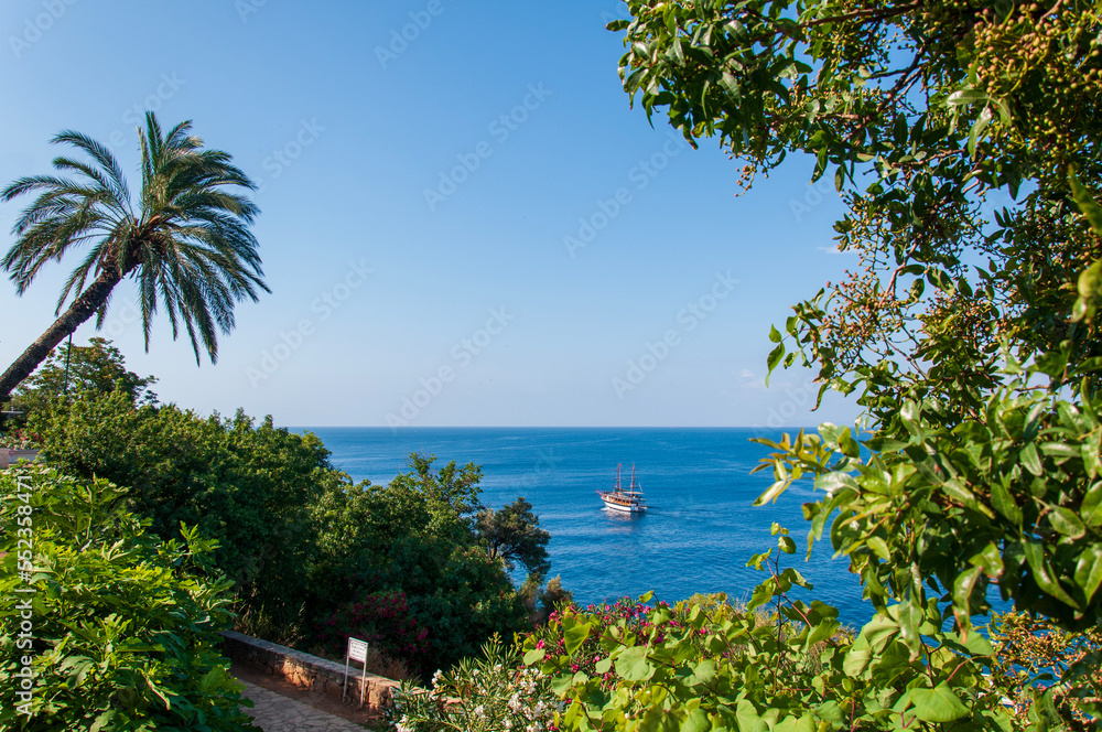 Sea view and excursion boat seen through the greenery.