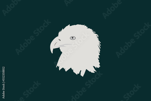 Eagle Logo, an eagle icon flying up. Shadow of an eagle, a black shape