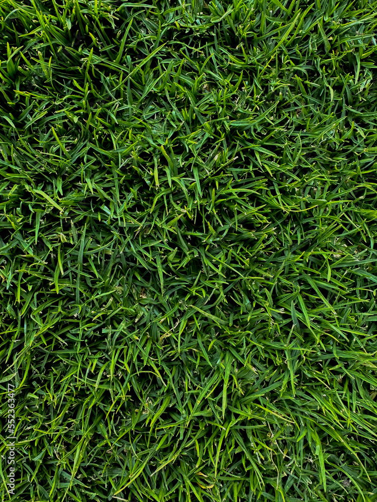 texture detail for wallpaper texture detail for wallpaper