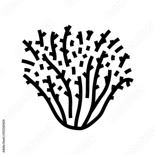 frisee salad food line icon vector. frisee salad food sign. isolated contour symbol black illustration