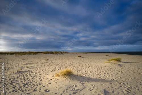 Sylt - Strand mit Weidegras bei List