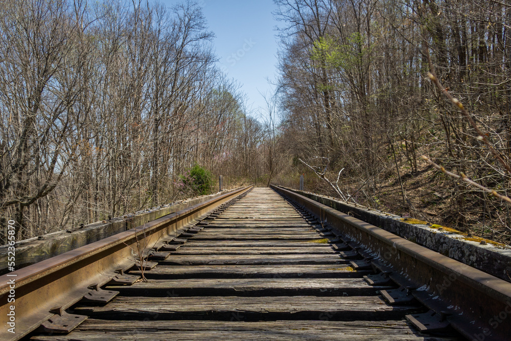 Abandoned railroad in forest, view looking down tracks.