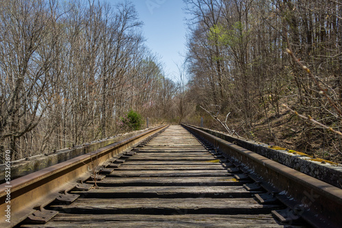Abandoned railroad in forest, view looking down tracks. © Carrie