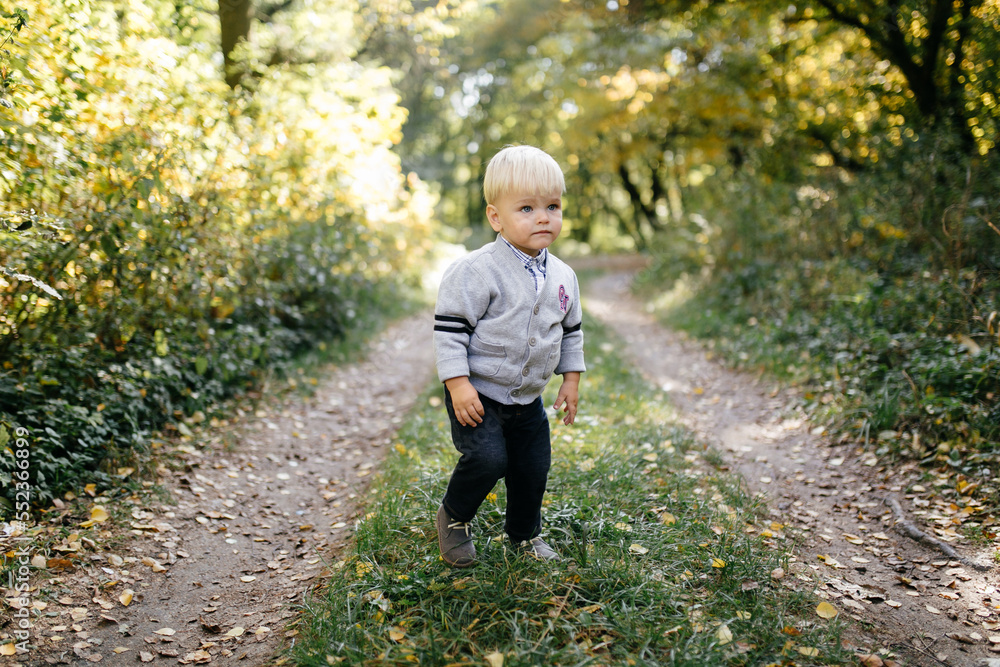 happy family playing and laughing in autumn park