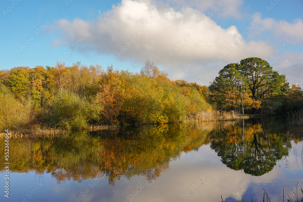 beautiful view over lake on autumn day. reflection of trees in calm parkland lake. scenic landscape during fall season beautiful view over lake on autumn day. reflection of trees in calm parkland lake. scenic landscape during fall season