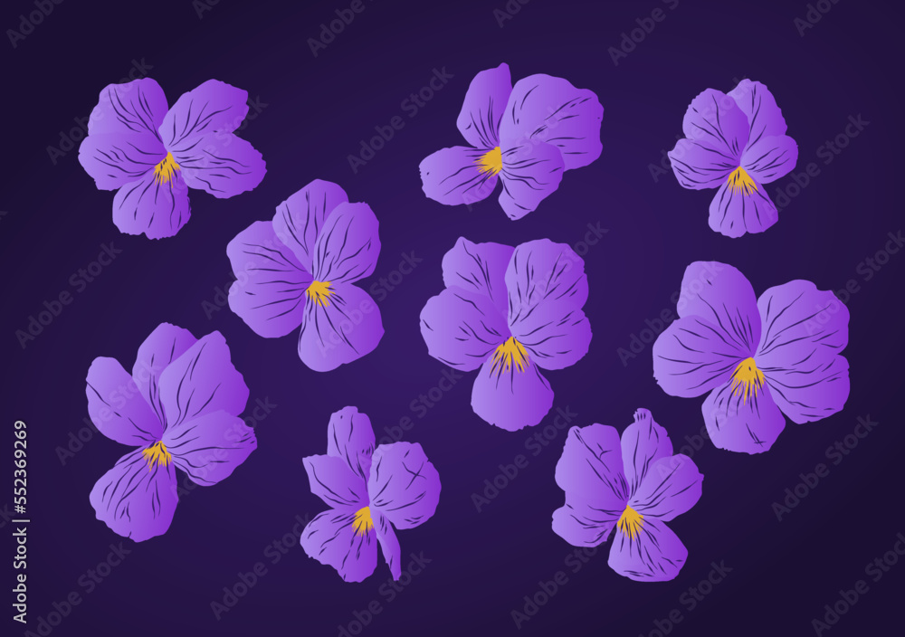 Conjunto de elementos florales, recurso de flores violetas, moradas. Violetas vectorizadas en colores morados, lilas y amarillos Conjunto de elementos florales, recurso de flores violetas, moradas. Violetas vectorizadas en colores morados, lilas y amarillos