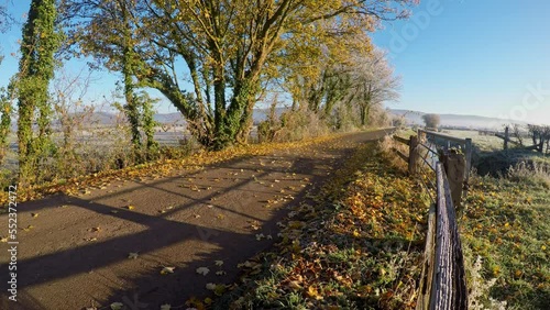 Leaves falling onto the lane in the Cheddar Valley, with the Mendip Hills in the background, Somerset photo