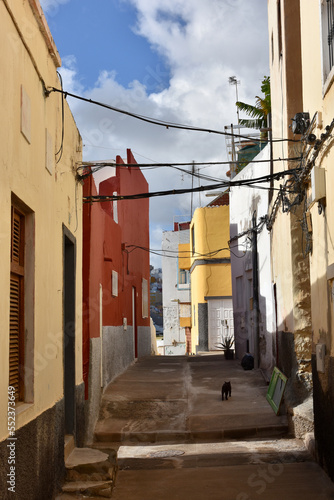 Scenic view of the old town of Las Palmas de Gran Canaria © Schneestarre