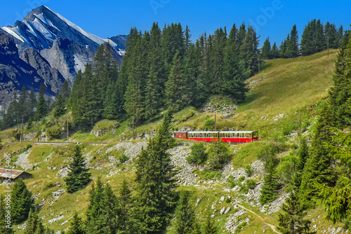 Wallpaper Mural The Schynige Platte Railway is a mountain railway in the Bernese Highlands area of Switzerland Torontodigital.ca