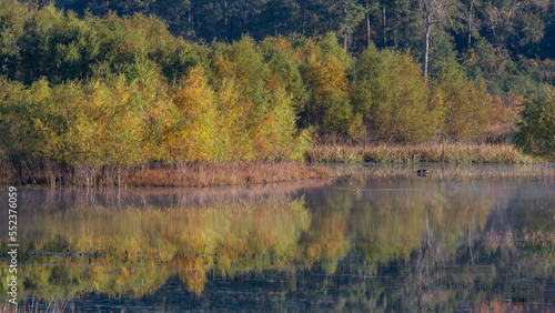 An early morning mist hangs over an East Texas pond where the autumn hued trees are reflected on the water.