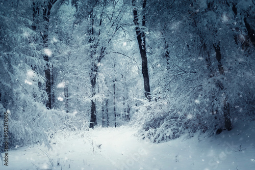 fantasy winter landscape, s...
