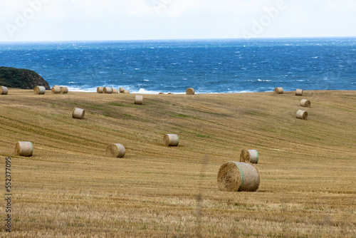 Obraz na płótnie silo bales on the north coast of Scotland, Fraserburgh w salonie