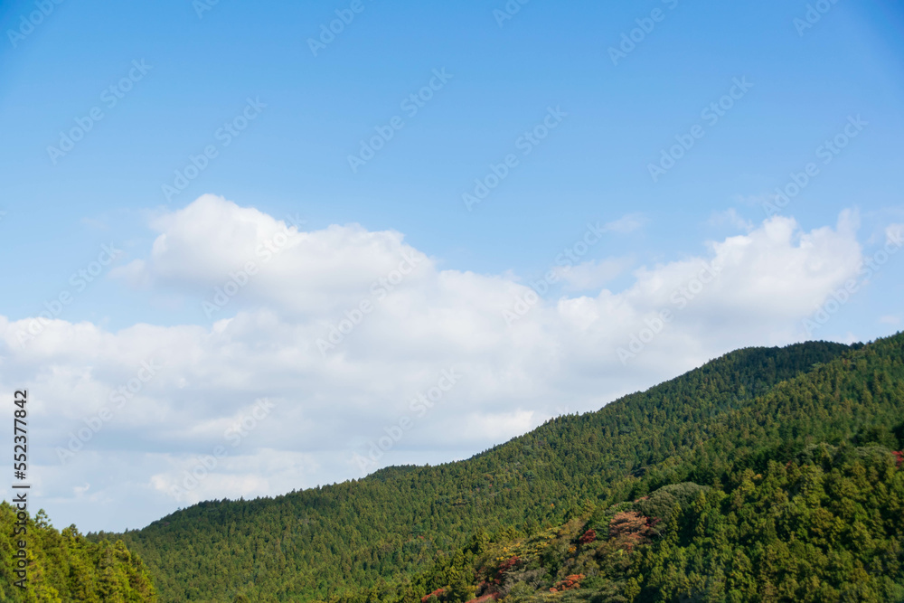 Obraz premium natural mountain range view with pine tree forest on the mountain under sunshine daytime with clear blue sky