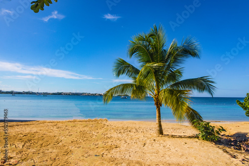 Fototapeta Naklejka Na Ścianę i Meble -  Sunset at the Beach with Palm Trees in Jamaica, Caribbean,  Middle America.