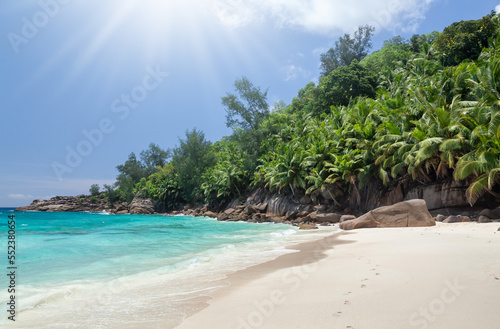 Tropical beach with palm trees © karandaev