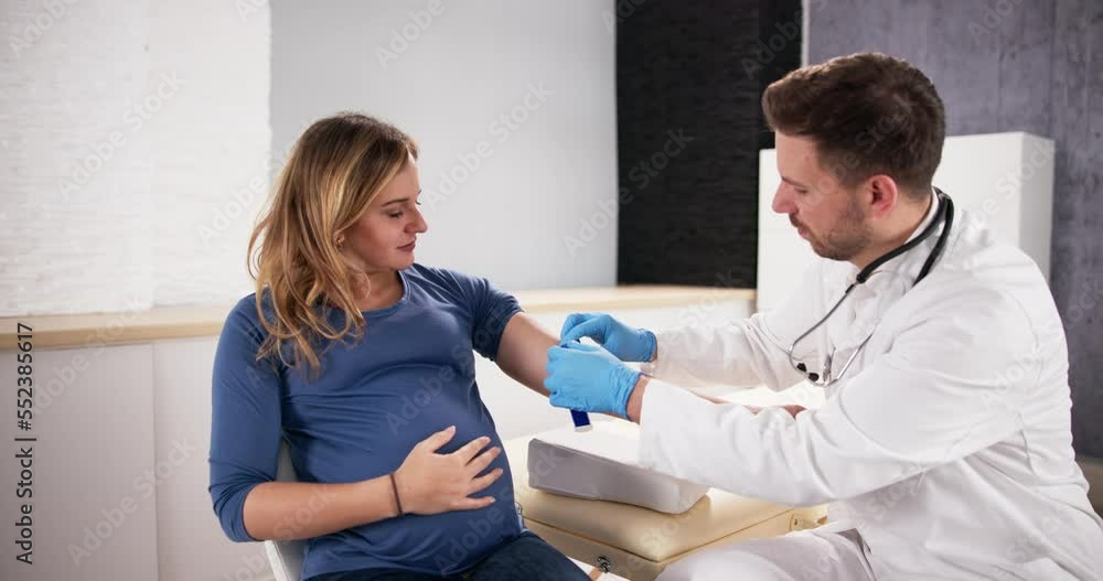 Prenatal Screening. Doctor Drawing Blood Sample Prenatal Screening. Doctor Drawing Blood Sample