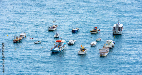 Boats and speedboats parked offshore
