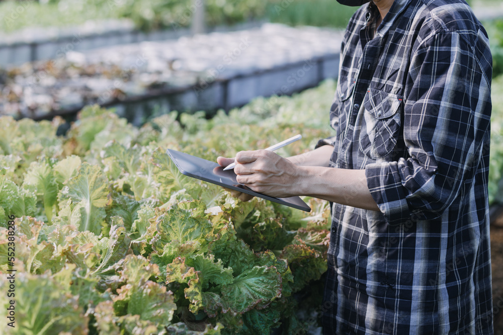 Futuristic businessman farms vegetables and crops using modern AI technology using mobile phones, temperature and humidity sensors, water tracking, climate control, holographic data data icons. Futuristic businessman farms vegetables and crops using modern AI technology using mobile phones, temperature and humidity sensors, water tracking, climate control, holographic data data icons.