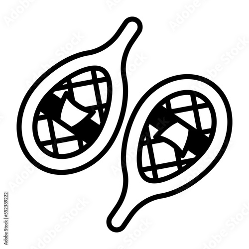 Beautiful and perfect icon of snowshoes in trendy style