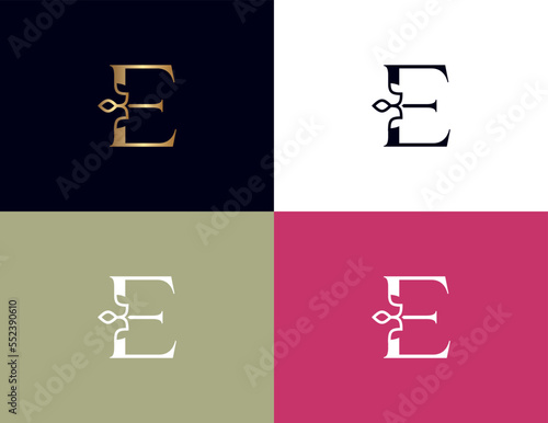 amazing luxury crown beauty logo letter E