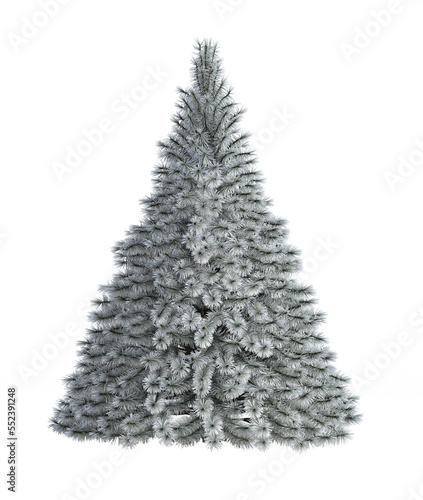 christmas tree no decorated isolated on tranparent