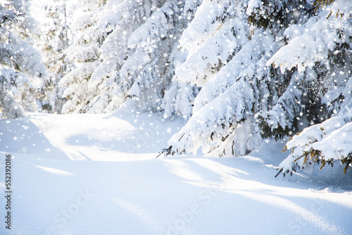 Wallpaper Mural beautiful winter landscape with snowy fir trees Torontodigital.ca