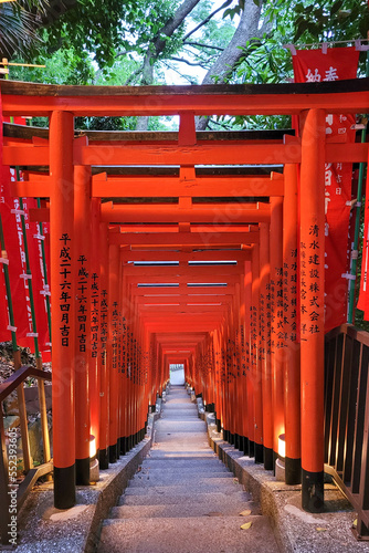 Photography Orange Torii Gate tunnel at the Hie Jinja Shinto Shrine, Tokyo, Japan