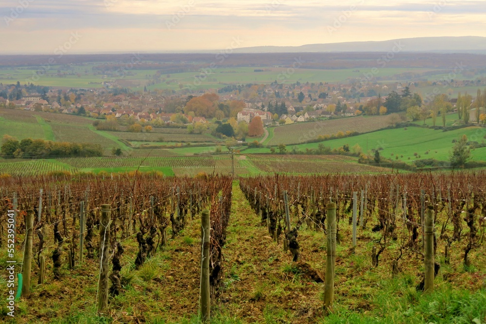 Vignes et village dans la côte Chalonnaise.