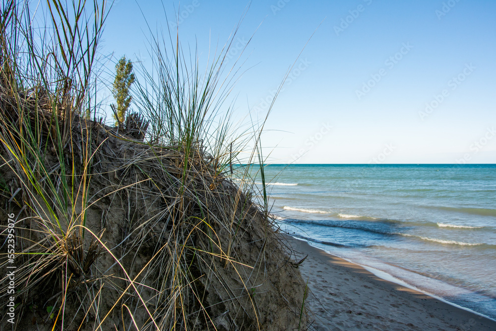 Dune grasses on beach, Pinery Provincial Park, Ontario