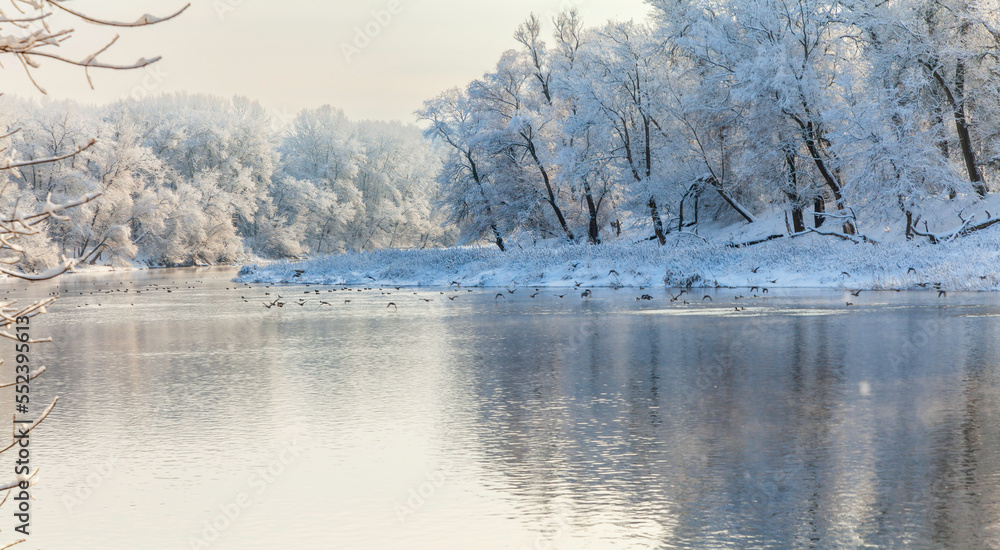 Fototapeta premium View of the river and trees after snowfall in the forest. Forest in the snow on the riverbank, the wild ducks on the river and reflection of trees in the water. Siversky Donets River, Luhansk reg.