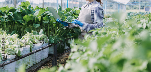 Futuristic businessman farms vegetables and crops using modern AI technology using mobile phones, temperature and humidity sensors, water tracking, climate control, holographic data data icons.