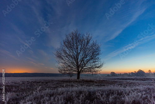 Fototapeta Naklejka Na Ścianę i Meble -  Świt.