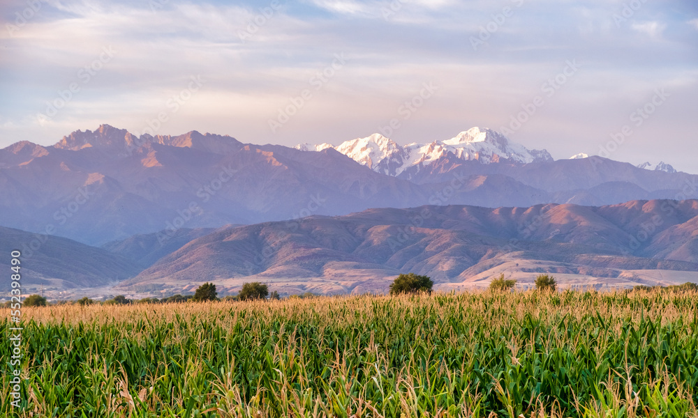 Fototapeta premium landscape with mountains
