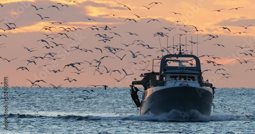 fishing boat coming back to the harbour at sunset, France