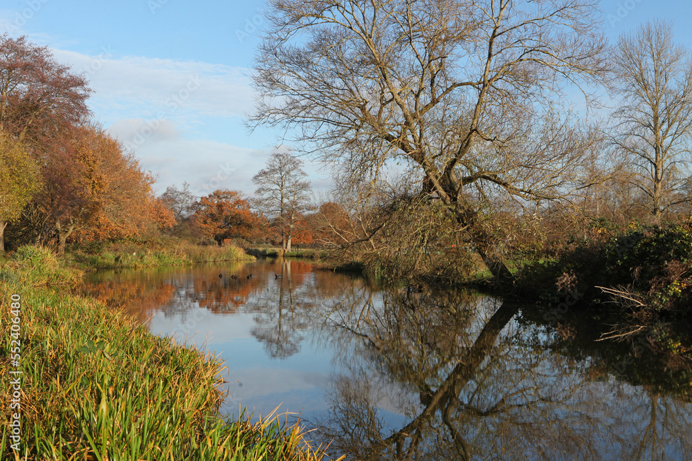 Winter reflections on the River Wey in Guildford on a cold sunny day. Winter reflections on the River Wey in Guildford on a cold sunny day.